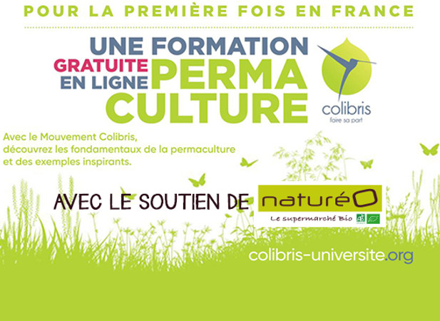 Formation à la permaculture avec Les Colibris