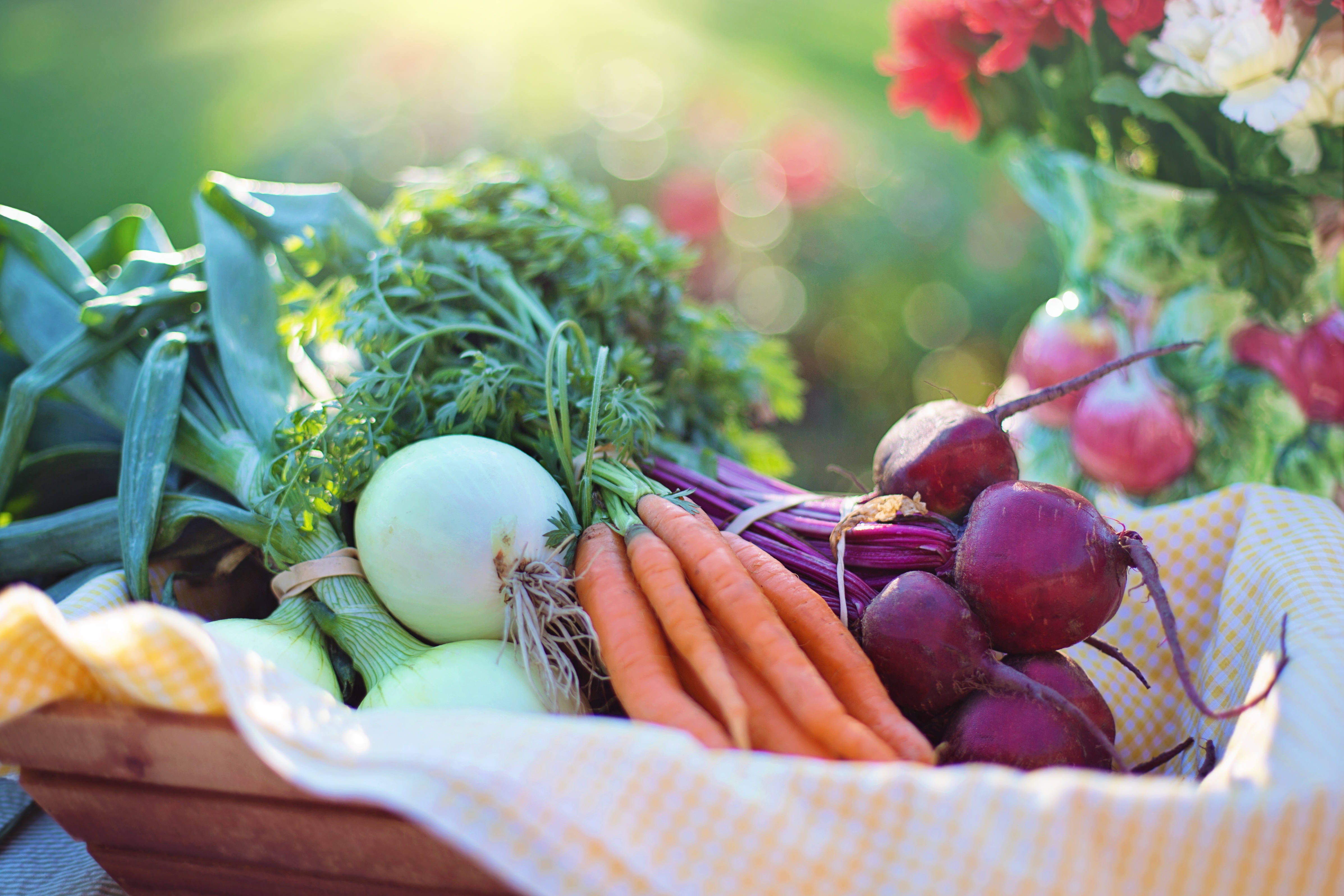 Dégustation fruits et légumes de saison